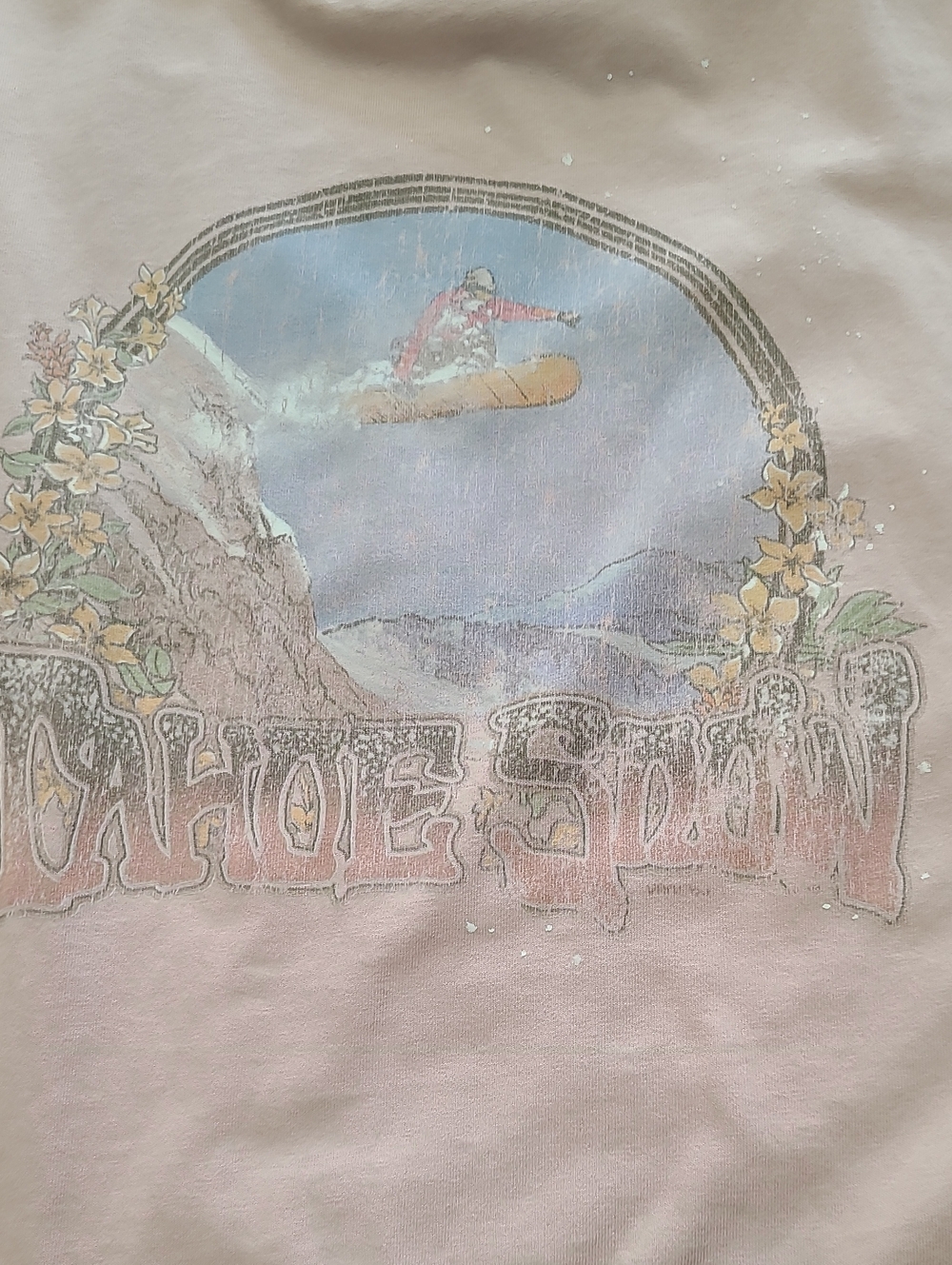 Vans Pink Graphic Short Sleeve Tee - Picture 4 of 7